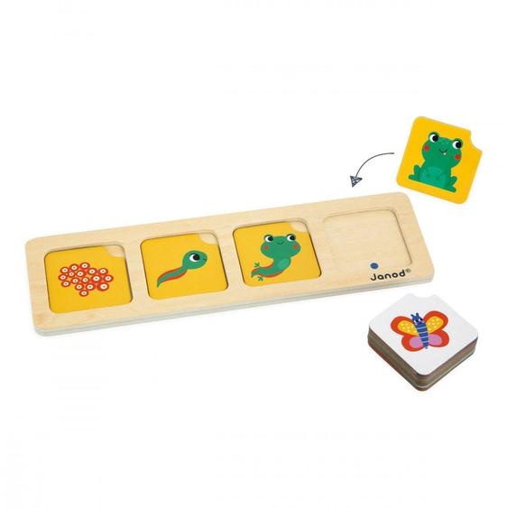 Jeu Pédagogique, Cartes Sequences Le Jardin Multicolore
