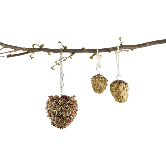 JR FARM Cônes gourmands Perruche & Canari 120g