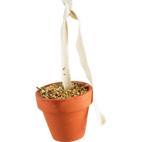 JRFarm Pot en terre cuite Perruche+Canarian 1 pc.