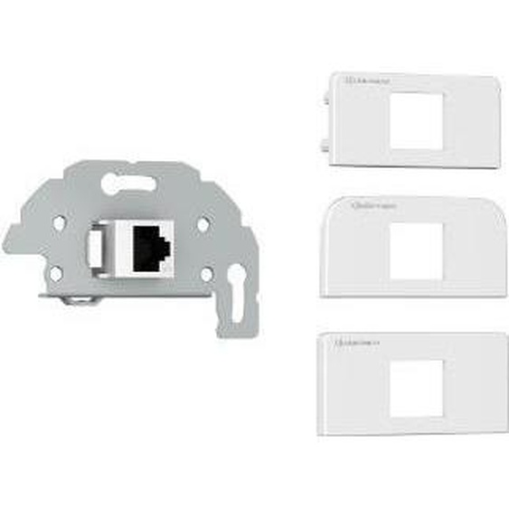 Kindermann 7456000526 RJ-45 Gris