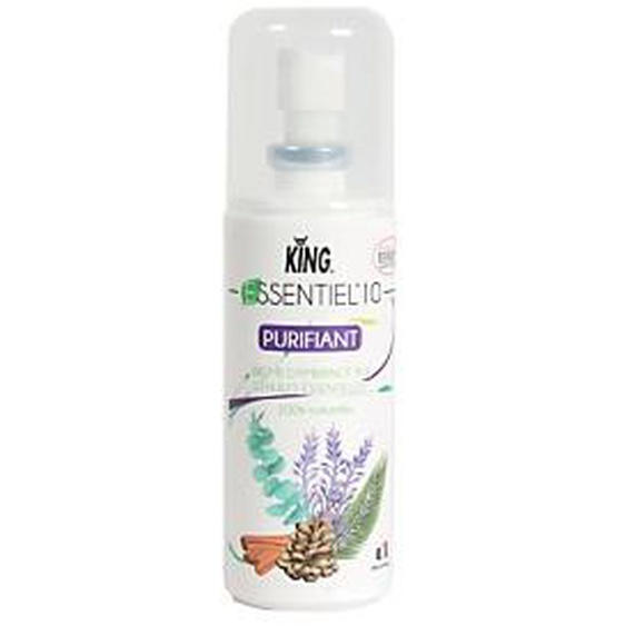 KING Désodorisant assainissant aux huiles essentielles Essentiel10 100 ml