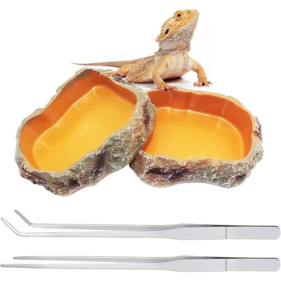 Kit daccessoires pour terrarium de reptiles, comprenant : 2 gamelles pour leau et la nourriture, 1 pince droite et 1 pince courbée, en résine, pour