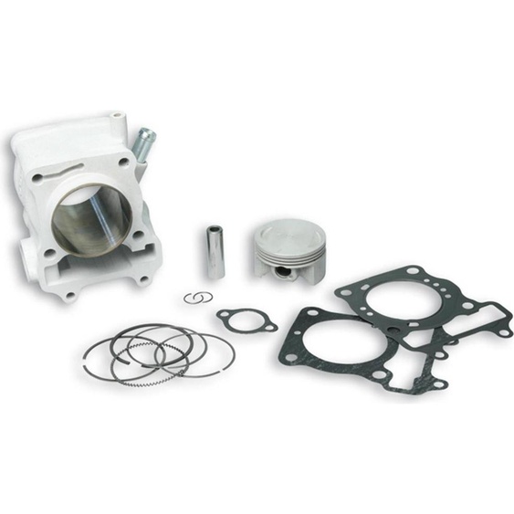 Kit de cylindres Malossi Sport 169ccm pour Honda SH / Dylan / Passion / S-Wing 150ccm LC