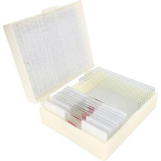 Cone Prep Set Life in the soil 10 pcs. Matériel denseignement de la biologie
