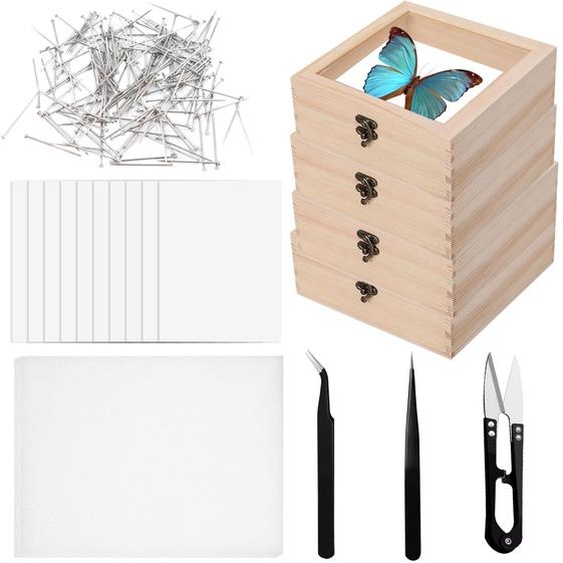 Kit de préparation dinsectes comprenant 4 boîtes en bois, 200 aiguilles, une pince et des ciseaux