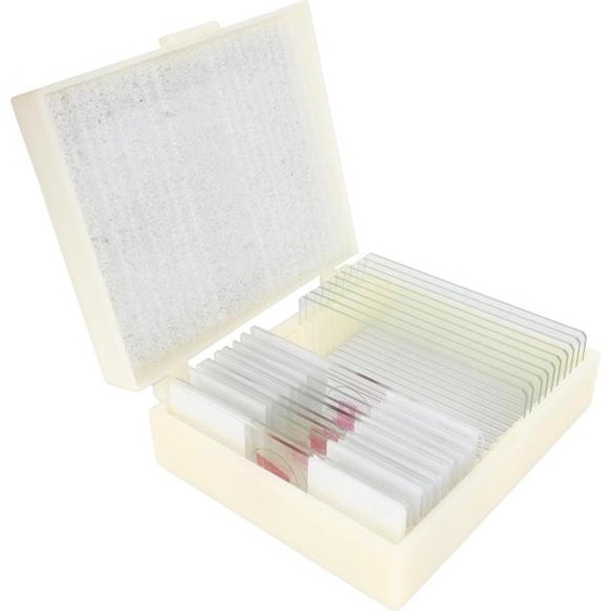 Kit de préparation pour cônes, une goutte deau (10 pièces)