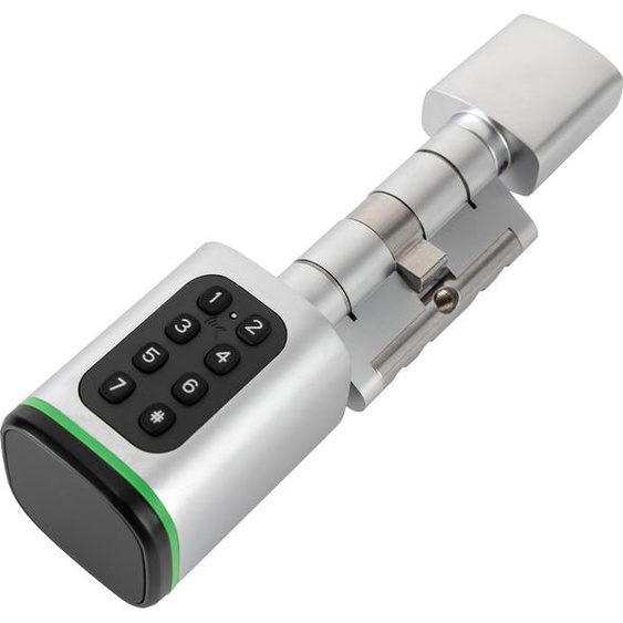 Kit serrure de porte combinée électrique cylindre de fermeture de porte avec 2 clés 4 méthodes de déverrouillage IP53 (argent)