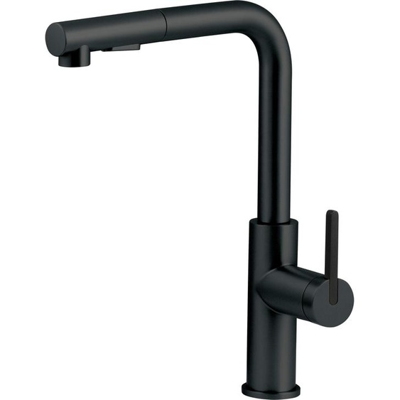 Kitchen faucet with pull-out spout