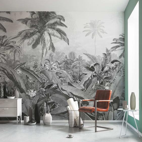 Komar Papier peint photo Amazonia Noir et blanc 400x250 cm