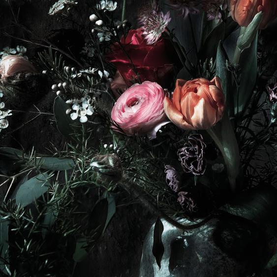 Komar Photo murale Still Life 368 x 254 cm