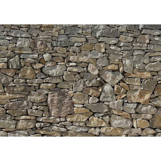 Komar Photo murale Stone Wall 368 x 254 cm 8-727