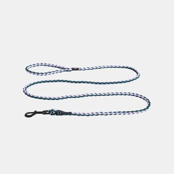 Laisse pour chien Dogs Braided - lavender/green
