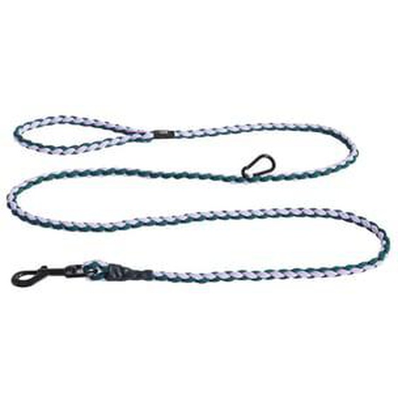 Laisse pour chien Dogs Braided - lavender/green