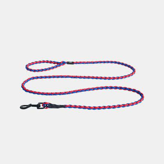 Laisse pour chien Dogs Braided - red/blue