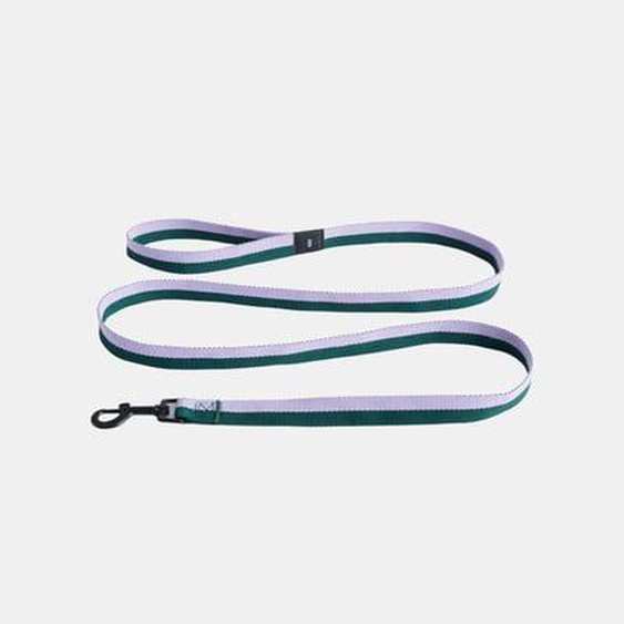 Laisse pour chien Dogs Flat - lavender/green