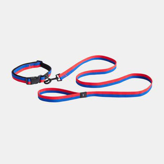 Laisse pour chien Dogs Flat - red/blue