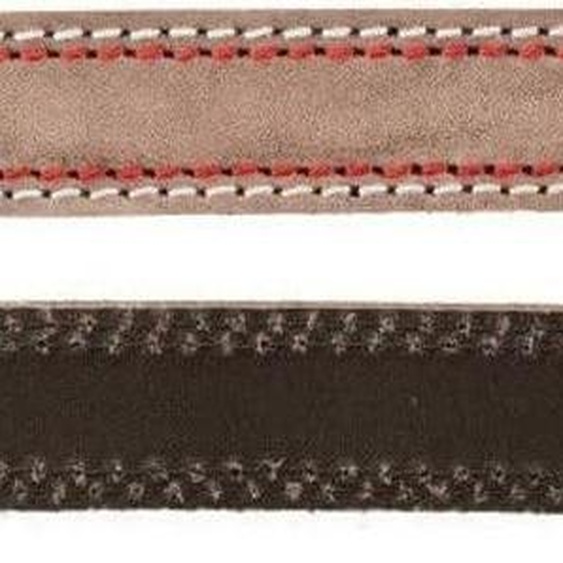 Laisse pour Chien Trixie Marron S/M 2 m