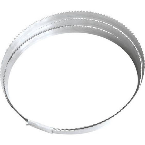 Lame de scie à ruban Holzmann Maschinen BSB245B8