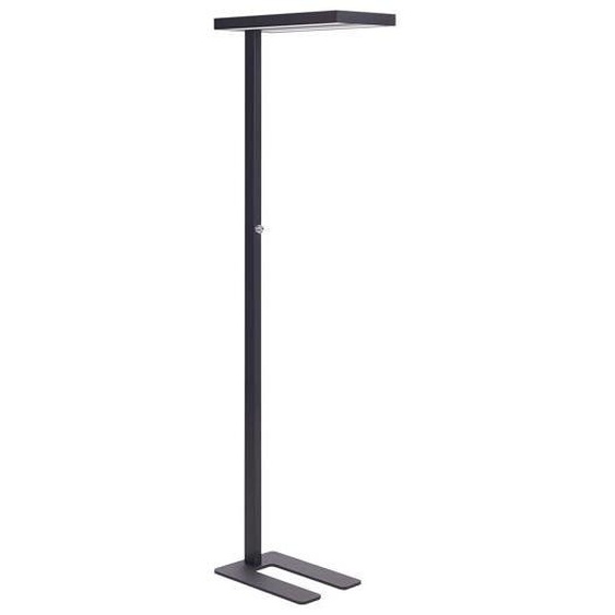 Lampadaire LED en métal noir TAURUS