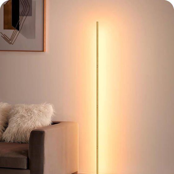 Lampadaire Sur Pied Salon Led À Intensité Variable En Continu, Lumière Blanc Chaud 3000K, Lampadaire DAngle Avec Interrupteur À Pi