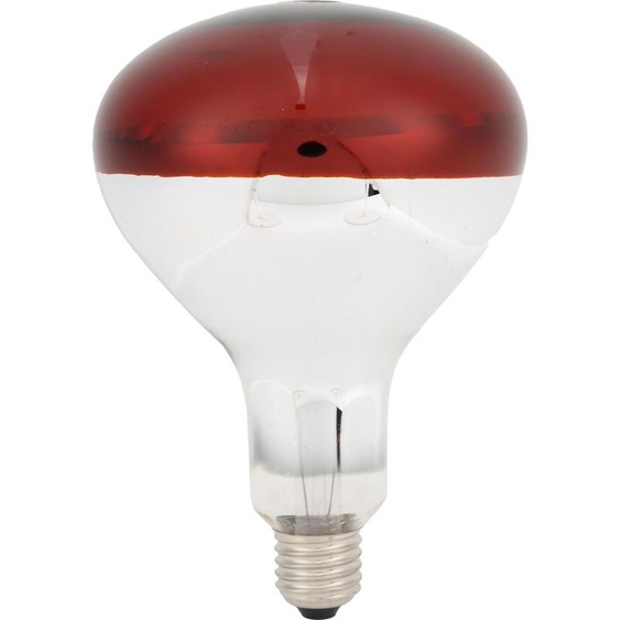 Lampe chauffante infrarouge rouge, 250W, 220V, durée de vie de 5000 heures, pour poussins et reptiles – chaleur uniforme pour lincubation et les terrariums