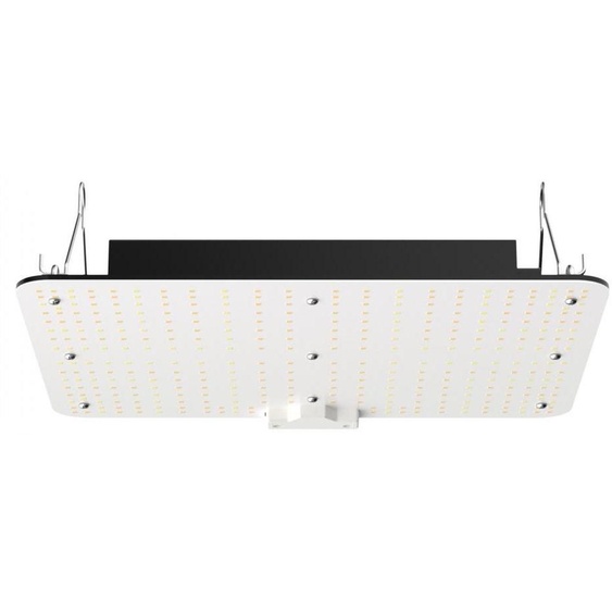 Lampe de culture LED, à intensité variable, 150W, lumière à spectre complet, pour culture en intérieur et en serre