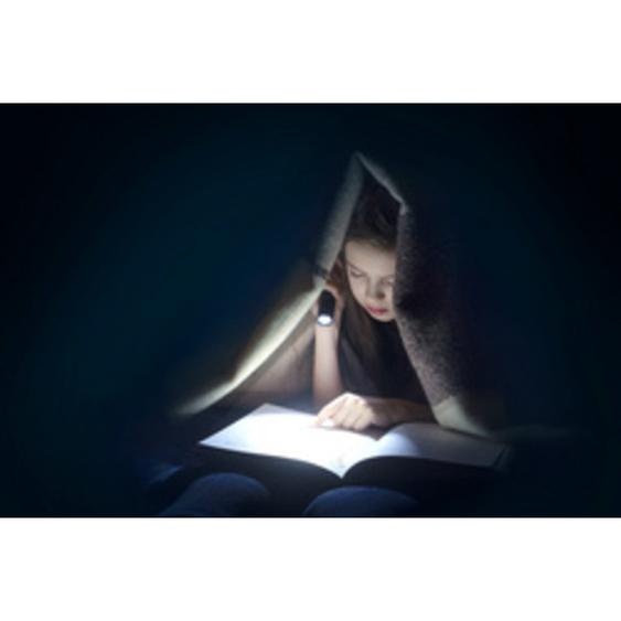 Lampe de poche LED, Daily Use 300B, argent/noir
