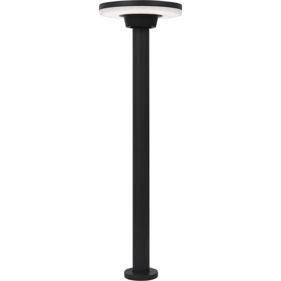 Lampe LED de jardin SUITE, Variante : 12 W, 480 lm, 3000 K, gris