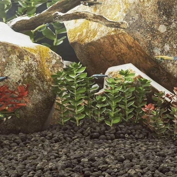 Lavagranulat de basalte noir, 10 kg, granulométrie 3-5 cm. Décoration pour aquarium : pierres, roches, grottes. Accessoire pour aquarium deau douce, idéal pour laquascaping, avec un effet filtrant naturel