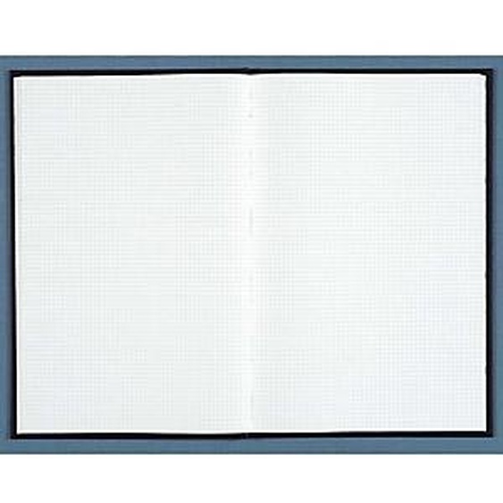 LE DAUPHIN Registre 390X255 Quadrillé 600 pages - Noir toilé