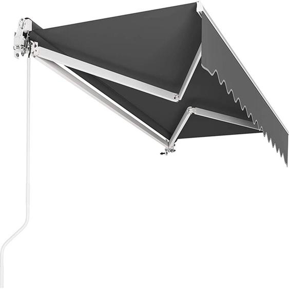 Liferun - Store Banne Manuel, 300 x 250 cm, Auvent Rétractable à Bras Repliable, Store Articulé, avec Support Mural, Manivelle, Imperméable,