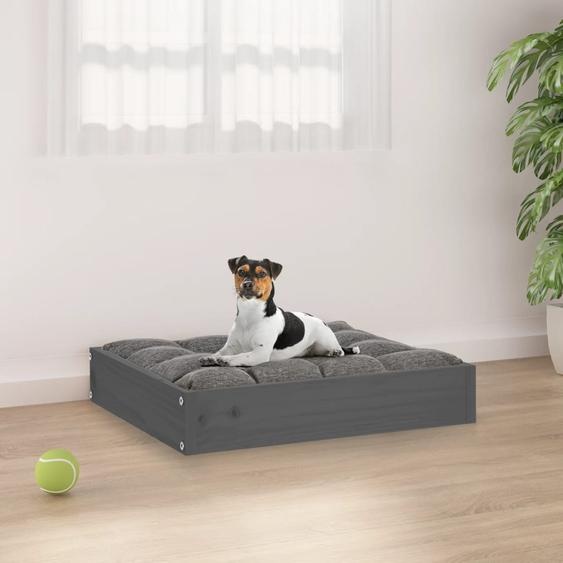 Lit pour chien Gris 51,5x44x9 cm Bois de pin solide