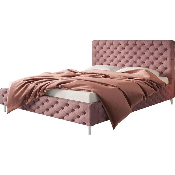Lit rembourré LUX MIAMI avec tête de lit, 140 x 200 cm, lit double avec sommier à lattes en bois, tissu velours rose, pieds en couleur : blanc