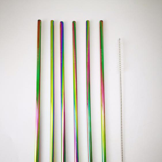 Little Balance Paille en inox irisée réutilisable - Lot de 6