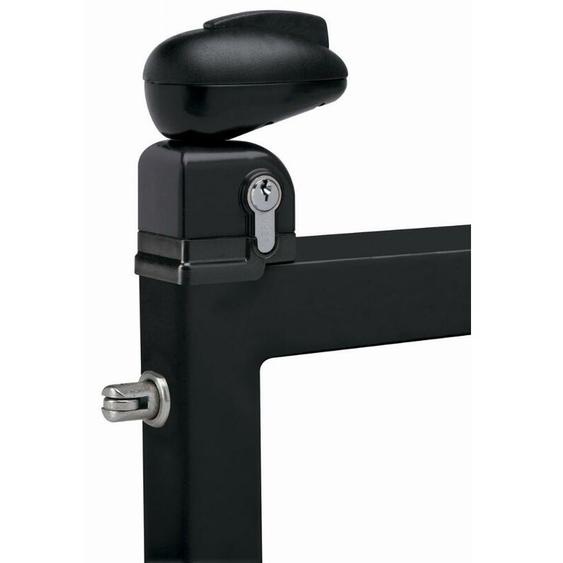 Locinox - Serrure Twist pour portillon de piscine noir ral 9005 - twist 40 9005