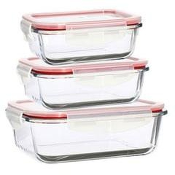Lot 3 boites hermetiques rectangles clementine en verre borosilicate