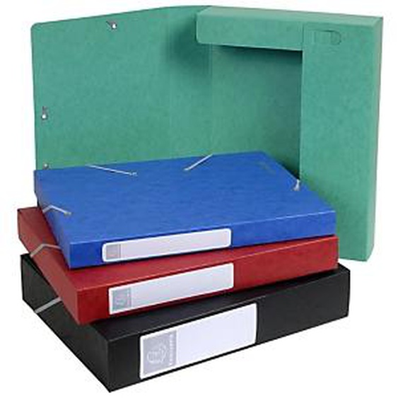 Lot de 10 - EXACOMPTA Boite de classement Cartobox Dos 40mm Carte lustrée - A4 - Couleurs assorties