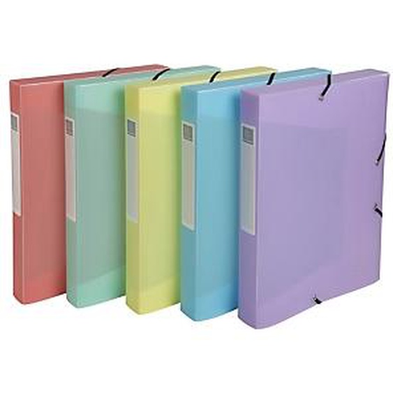 Lot de 10 - EXACOMPTA Boite de classement Cartobox livrée à plat Dos 40mm Polypropylène Chromaline pastel - A4 - Couleurs assorties