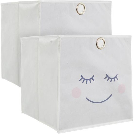 Lot de 2 cubes de rangement 30x30 cm gris 27L