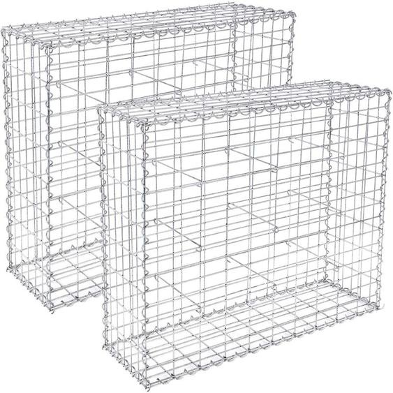 Lot de 2 Gabion pour Pierre, 100 x 80 x 30cm, cloture gabion, Cage en Métal, Panier à Pierre, Maille 5 x 10 cm, Galvanisé, Mur, Paterre, Décoration