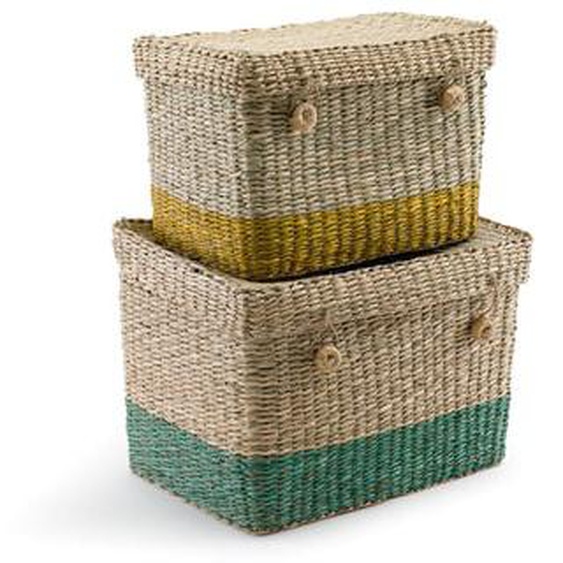 Lot de 2 malles en herbier, Fanero