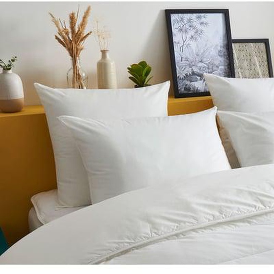 Lot de 2 Oreillers MEDIUM Extra-Doux - Coton Bio - Emile