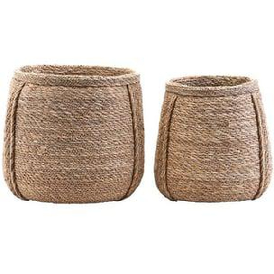 Lot de 2 paniers Plant