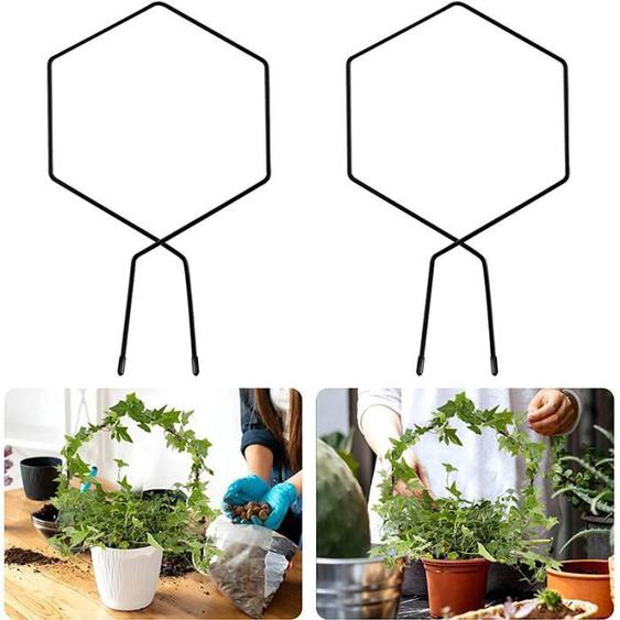 Lot de 2 supports de jardin en fer pour plantes grimpantes, support de plantes grimpantes (hexagonal)