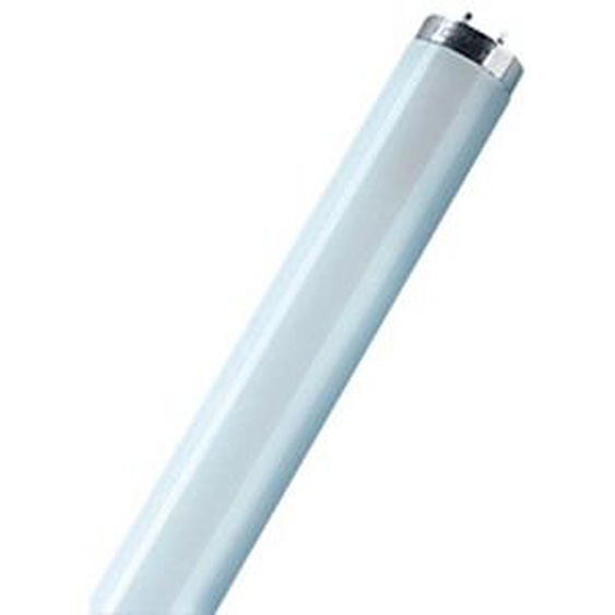 Lot de 25 - LEDVANCE Tube fluorescent LUMILUX T8, 36 Watt, G13 (830)