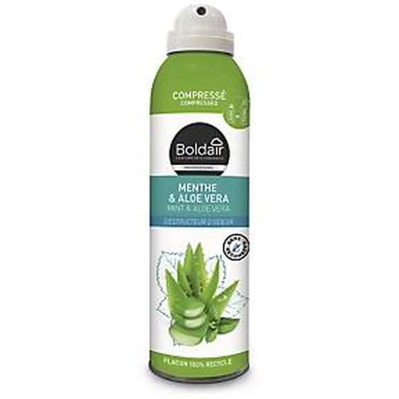 Lot de 3 - Boldair Désodorisant compressé Menthe et Aloe Vera- 250 ml