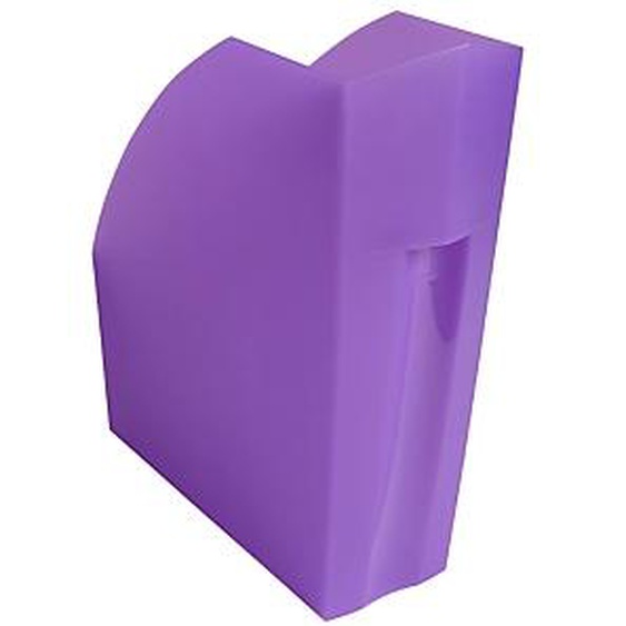 Lot de 3 - EXACOMPTA Porte-revues The Magazine Chromaline - Violet