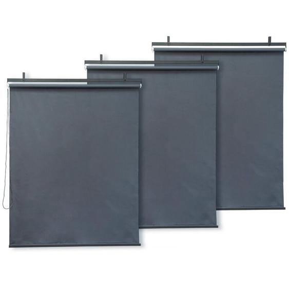 Habitat Et Jardin - Lot de 3 stores rétractables en métal - 124.5 x 225 cm - Gris anthracite