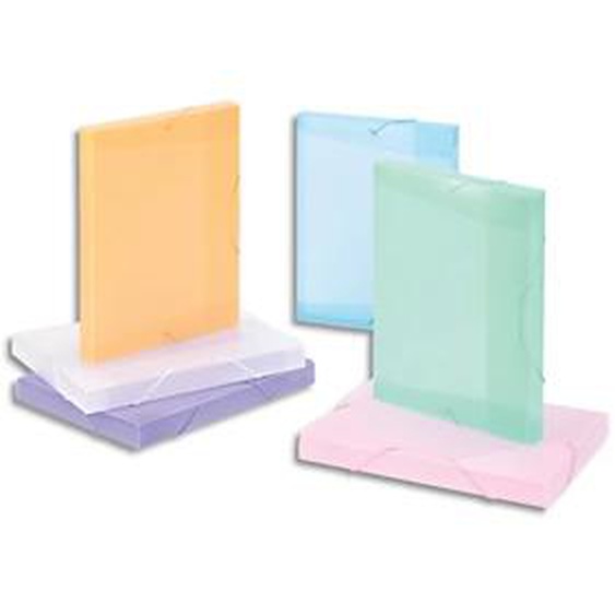 Lot de 30 - VIQUEL Boîte de classement personnalisable PROPYSOFT dos 3cm, en PP 6/10e. Coloris translucides assortis