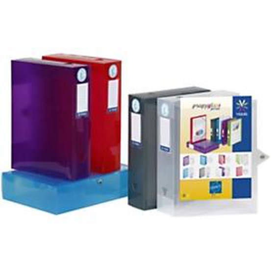 Lot de 6 - Viquel Boîte de classement A4 Propyglass personnalisable en polypropylène - Dos 8 cm - Coloris assortis